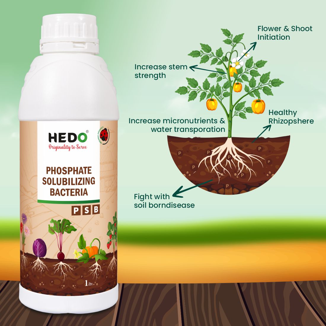 PSB (Phosphate Solubilizing Bacteria – PSB) Liquid (1L) Bio Fertilizers For Agriculture, Garden, Soil Fertility, and Plant Nutrition.