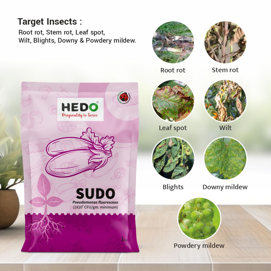 Pseudomonas fluorescence(1X10^9CFU/gm) Powder(1Kg) To control plant Fungal & Soil borne disease