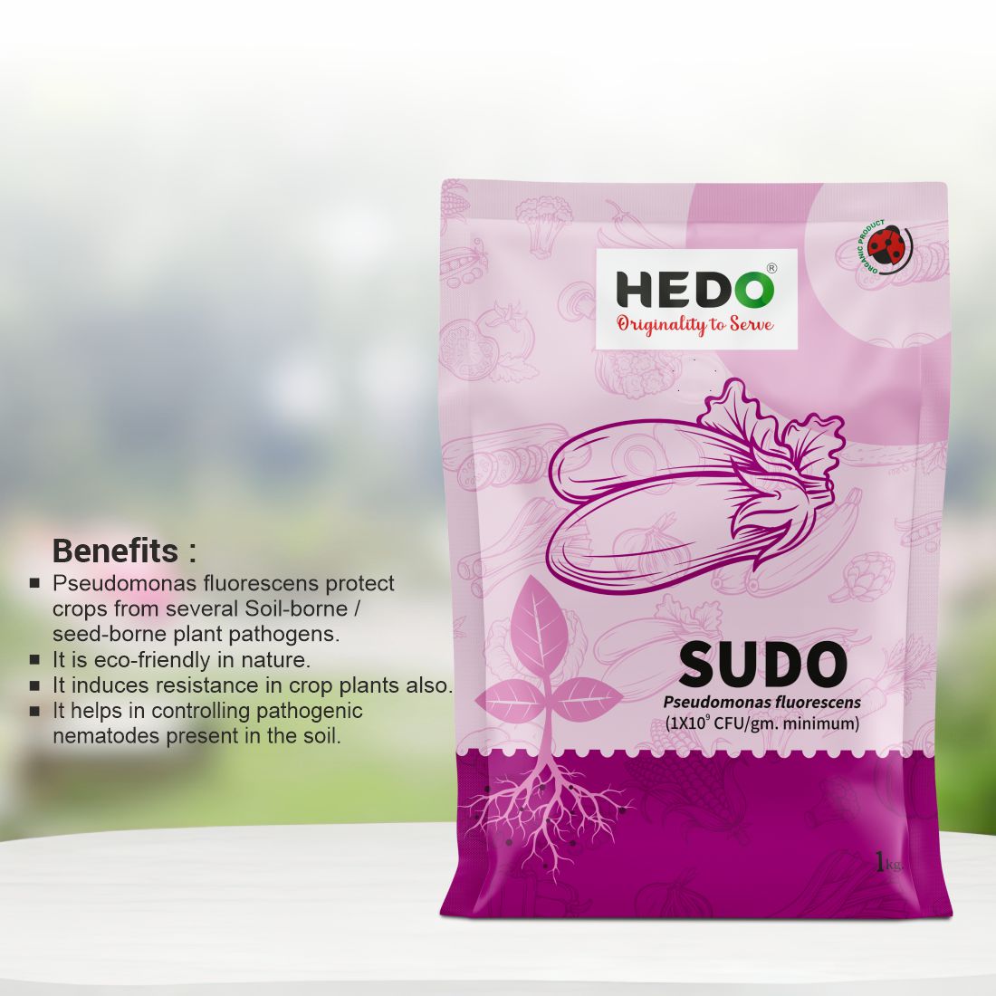 Pseudomonas fluorescence(1X10^9CFU/gm) Powder(1Kg) To control plant Fungal & Soil borne disease
