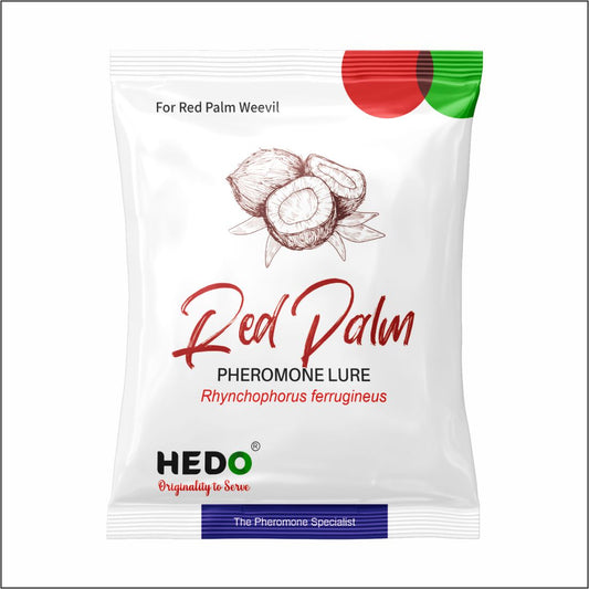 HEDO Pheromone Lure for Red Palm Weevil (Rhynchophorus ferrugineus) Pack of 5