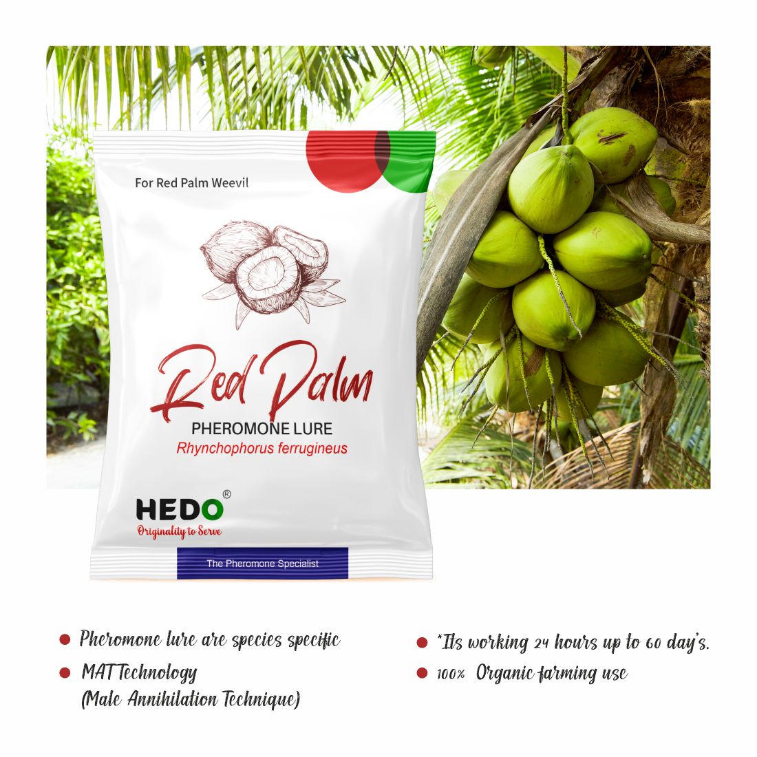 Bucket Trap & Lure For Red Palm Weevil For Control Damage In coconut Pack Of 4