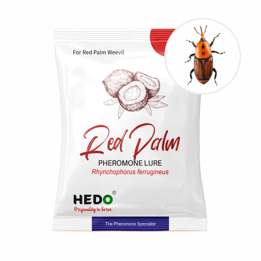 Bucket Trap & Lure For Red Palm Weevil For Control Damage In coconut Pack Of 4