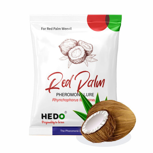 HEDO Red Palm Weevil Pheromone Lure Pack of 5 for Coconut, Date Palm & Oil Palm