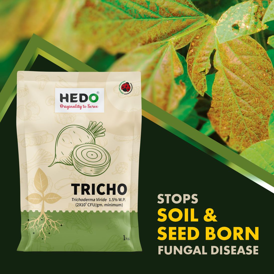 Trichoderma Viride Powder(2X10^6 CFU/gm)Bio-Organic (1Kg) For Control All Fungal Disease & Seed Germination For All Plants & Seed
