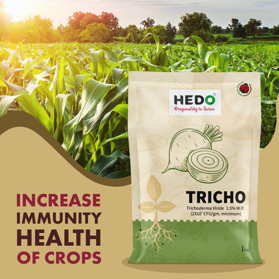 Trichoderma Viride Powder(2X10^6 CFU/gm)Bio-Organic (1Kg) For Control All Fungal Disease & Seed Germination For All Plants & Seed