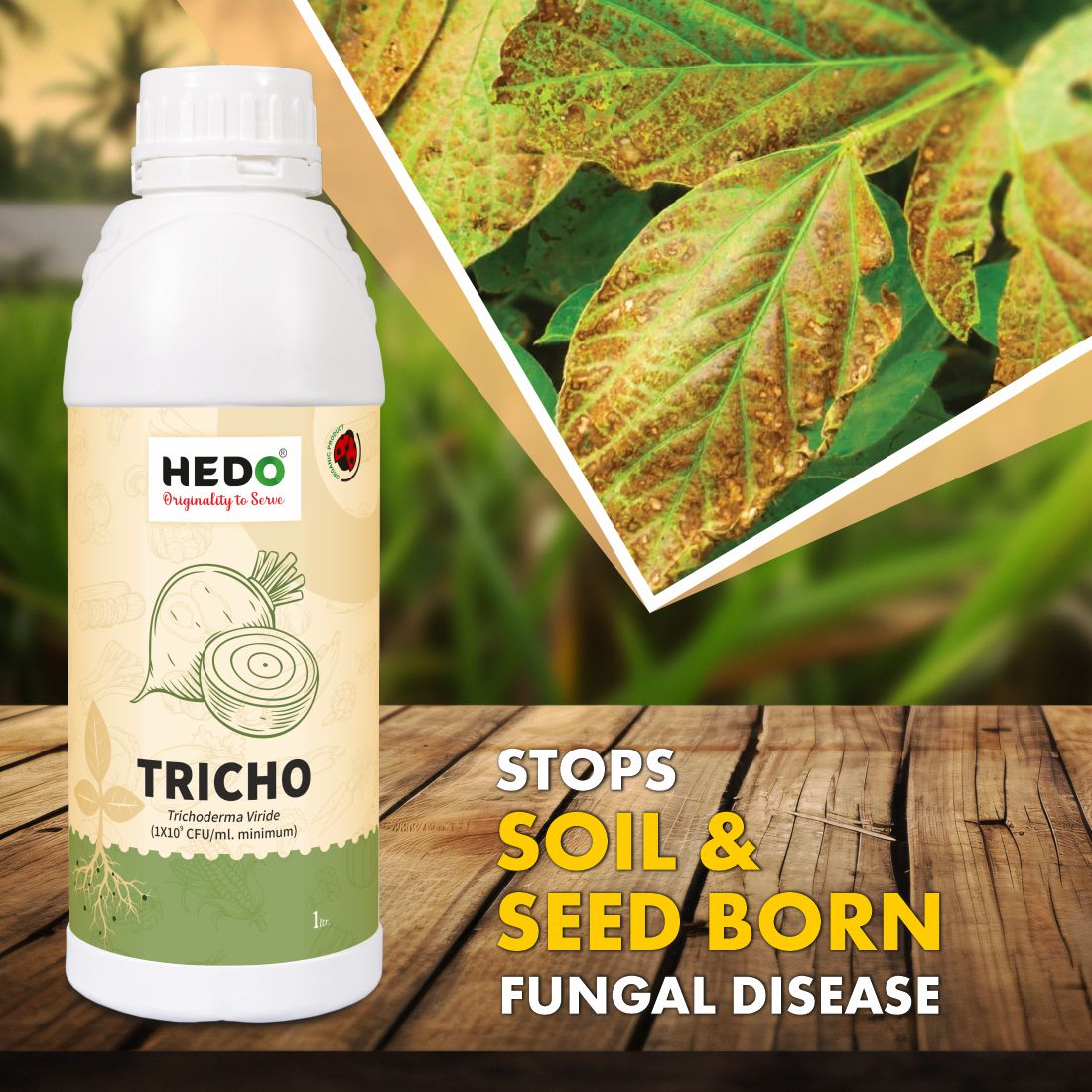 Trichoderma Viride Liquid(1X10^9 CFU/ml) Bio-Organic(1L) For Control All Fungal Disease & Seed Germination For All Plants & Seed