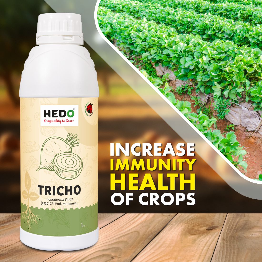 Trichoderma Viride Liquid(1X10^9 CFU/ml) Bio-Organic(1L) For Control All Fungal Disease & Seed Germination For All Plants & Seed