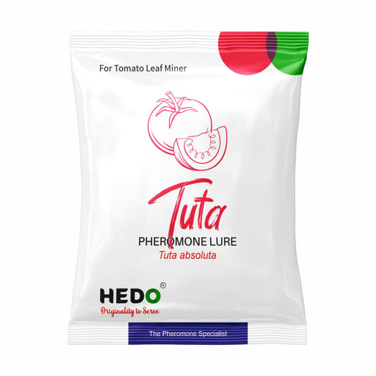 HEDO Pheromone Lure for Tomato Leaf Miner (Tuta absoluta) Pack of 10