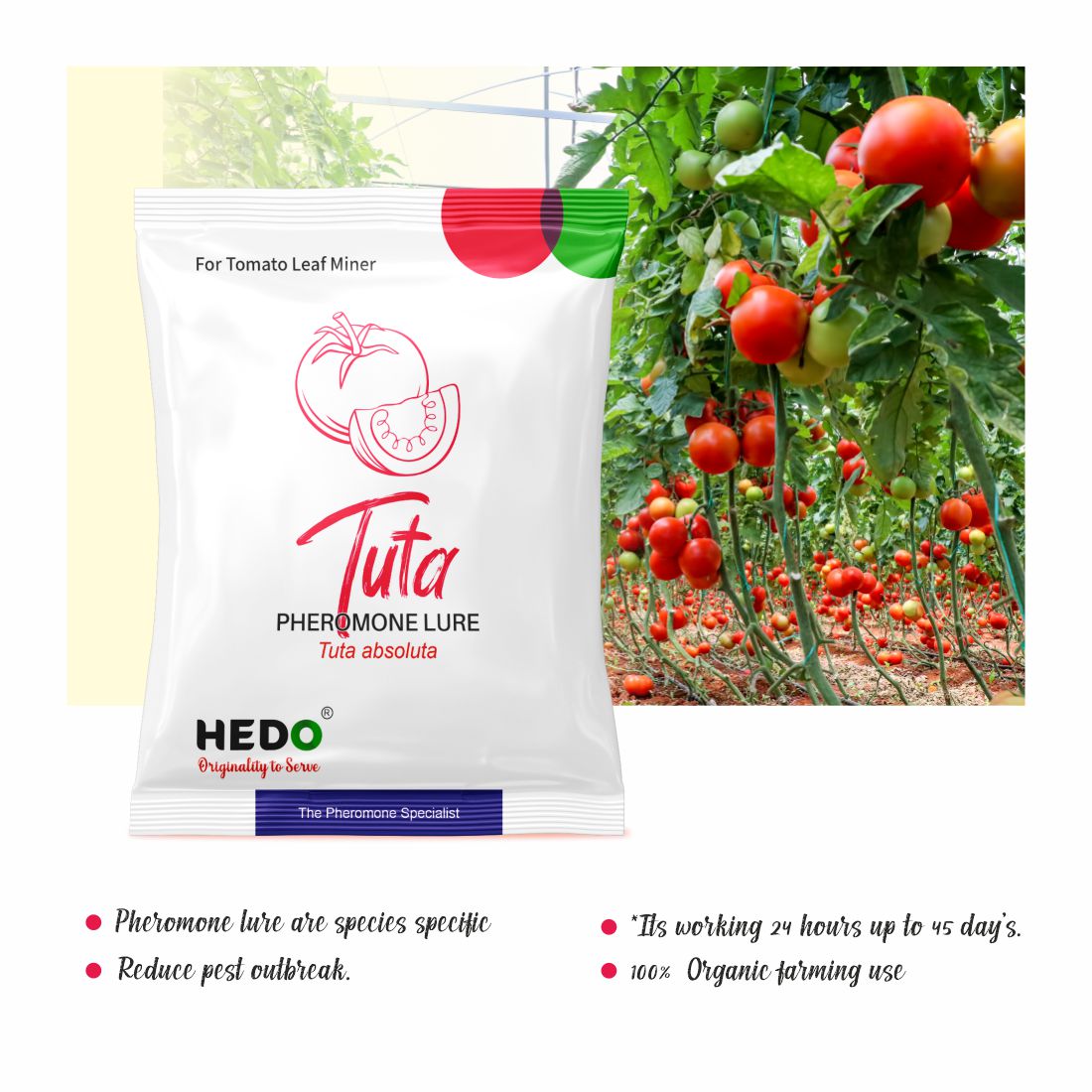 HEDO Pheromone Lure for Tomato Leaf Miner (Tuta absoluta) Pack of 10