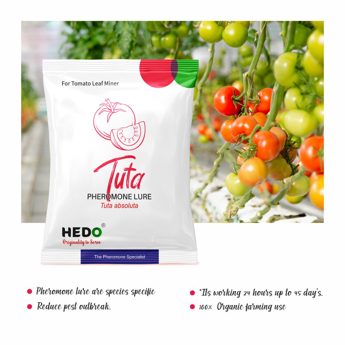 HEDO Pheromone Lure for Tomato Leaf Miner (Tuta absoluta) Pack of 10