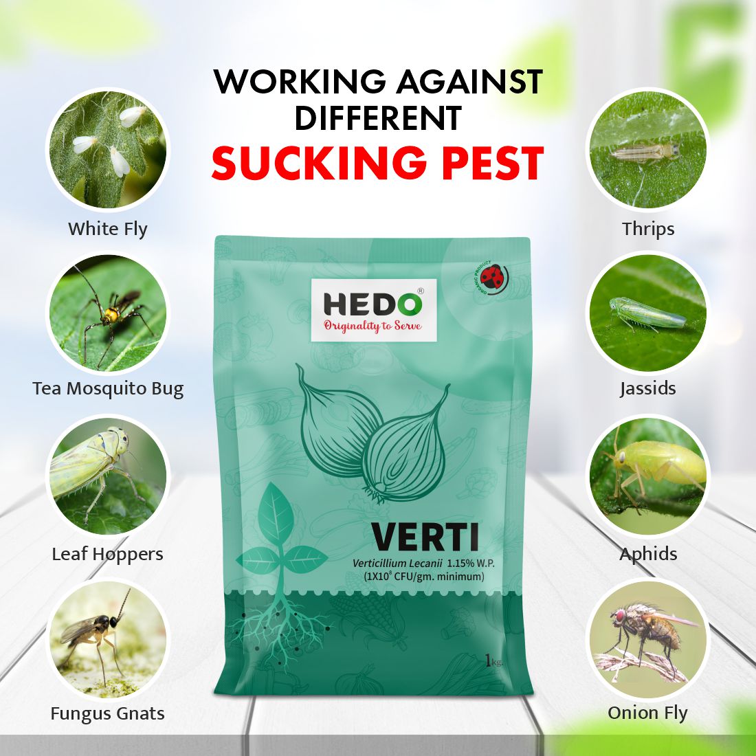 Verticillium Lecanii Powder(1X10^8 CFU/gm) Bio-Organic (1Kg) For Plants & Crops - Against Sucking Insects Like Aphids,Thrips And Whiteflies