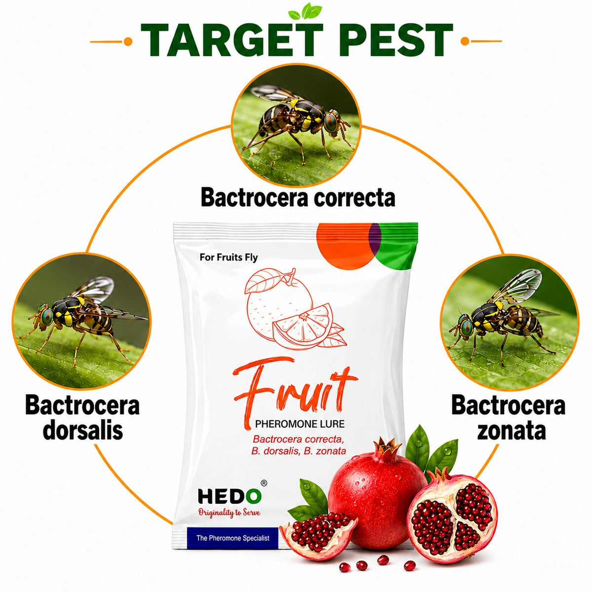 HEDO Fruit Fly Pheromone Lure (Bactrocera correcta, Bactrocera zonata & Bactrocera dorsalis) Pack of 10 | Fruit Fly Trap Lure for Mango, Guava & All  Fruit Crops | Eco-Friendly Pest Monitoring