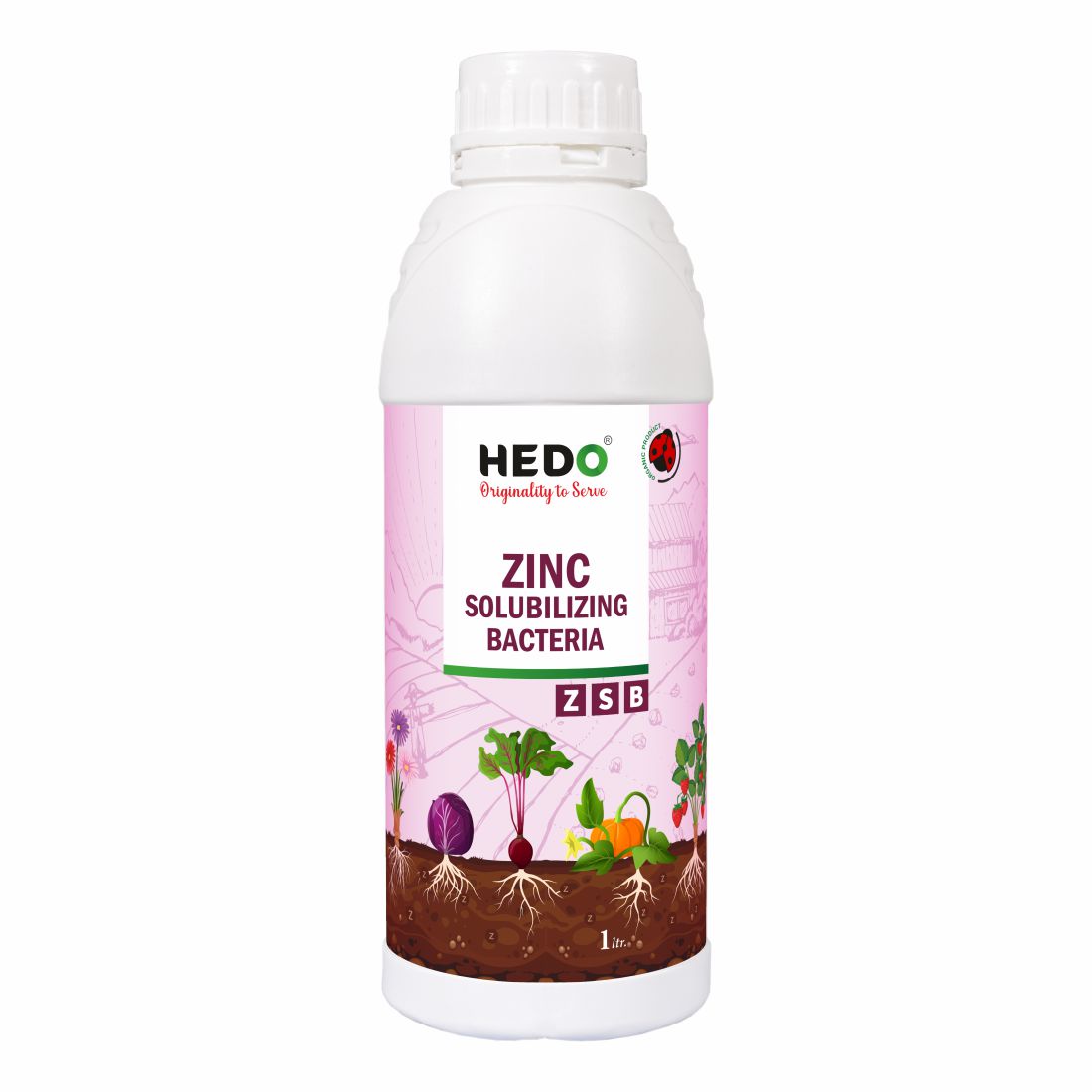 Zinc Solubilizing Bacteria Bio Fertilizer - ZSB Liquid (1L) for All Plants and Home Garden Eco-Friendly
