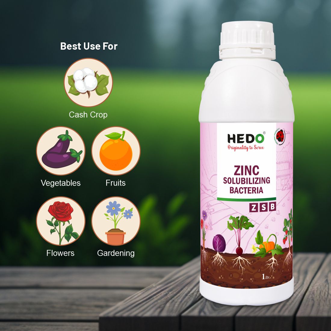 Zinc Solubilizing Bacteria Bio Fertilizer - ZSB Liquid (1L) for All Plants and Home Garden Eco-Friendly